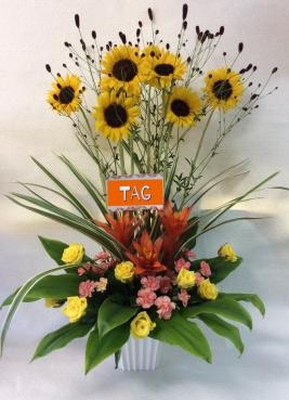 お久しぶりの更新になります｜「花倶楽部マーラリッシュ」　（青森県八戸市の花キューピット加盟店 花屋）のブログ