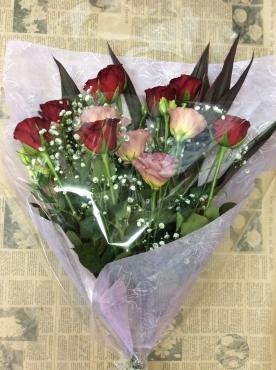 ヒオウギ｜「花倶楽部マーラリッシュ」　（青森県八戸市の花キューピット加盟店 花屋）のブログ