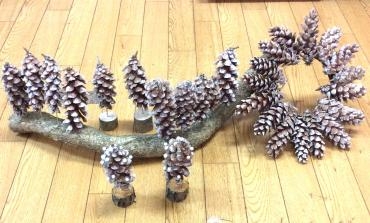 松ぼっくりで｜「花倶楽部マーラリッシュ」　（青森県八戸市の花キューピット加盟店 花屋）のブログ