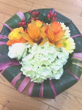 姫水木｜「花倶楽部マーラリッシュ」　（青森県八戸市の花キューピット加盟店 花屋）のブログ