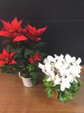 お正月アレンジ｜「花倶楽部マーラリッシュ」　（青森県八戸市の花キューピット加盟店 花屋）のブログ
