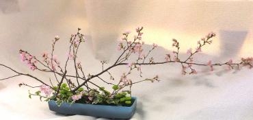 和風アレンジ｜「花倶楽部マーラリッシュ」　（青森県八戸市の花キューピット加盟店 花屋）のブログ