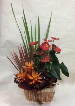 鉢と切花のアレンジメント｜「花倶楽部マーラリッシュ」　（青森県八戸市の花キューピット加盟店 花屋）のブログ