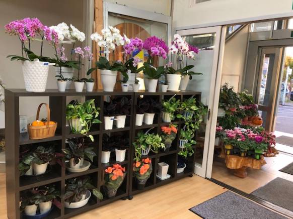 「花倶楽部マーラリッシュ」　（青森県八戸市）の花屋店舗写真3